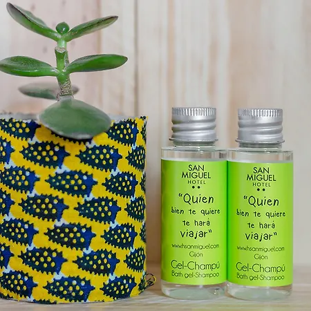 Hotell San Miguel Gijón