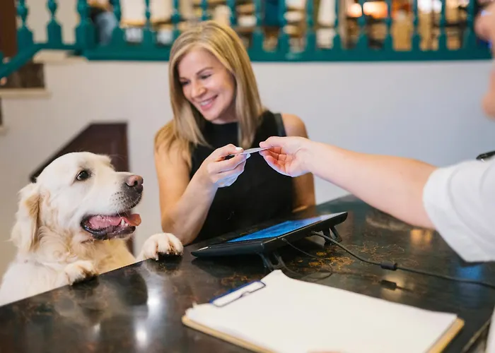 Готель San Miguel 2*