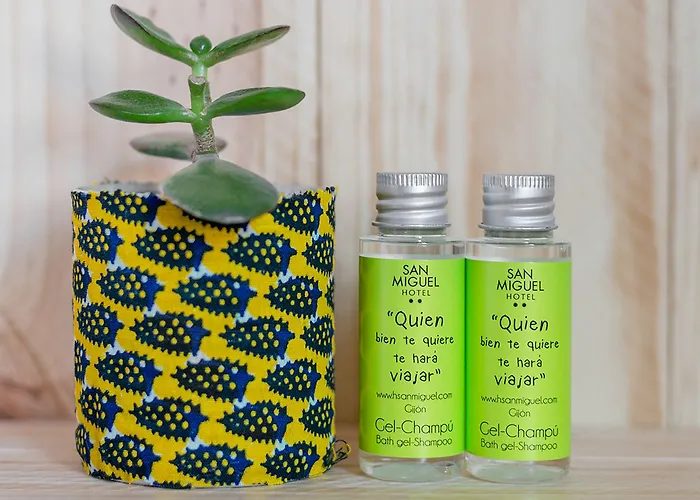 Готель San Miguel Хіхон