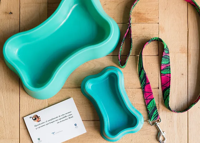 Отель San Miguel