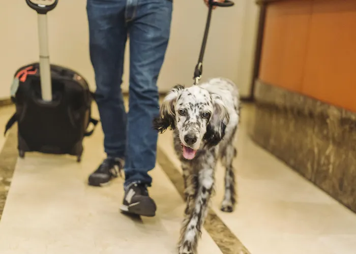 Готель San Miguel