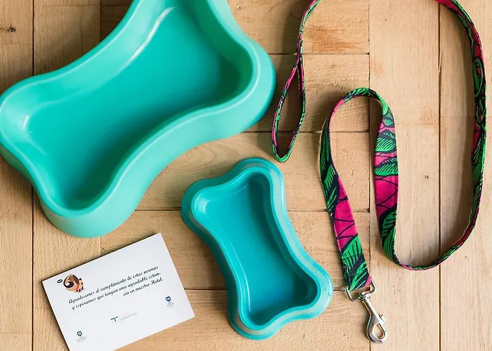 San Miguel Хіхон