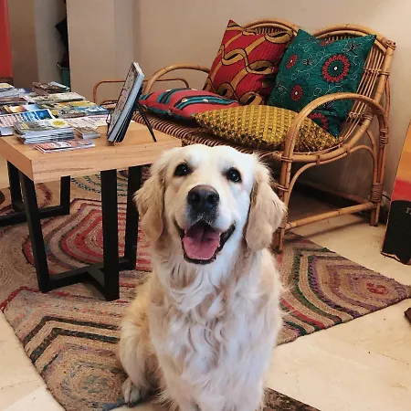 San Miguel Hotel Gijón