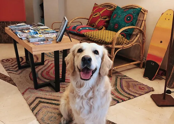 San Miguel Hotel Gijon